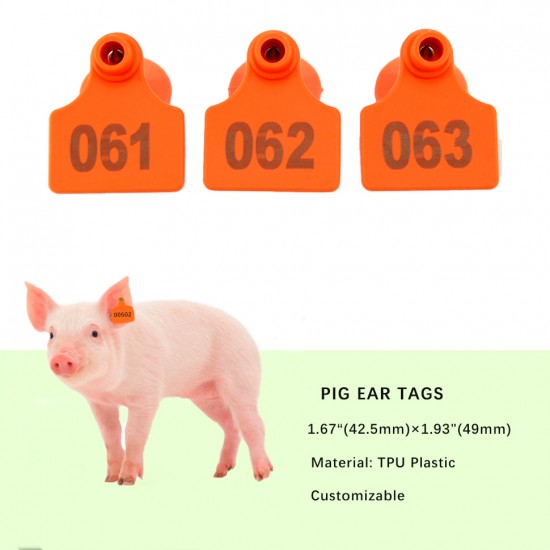 Livestock Cattle Cow Pigs Signs Numbered Tags (100 sets)