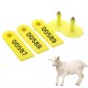 Medium Plastic Livestock Ear Tags (Pack of 100Sets)