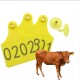 Cow Cattle Ear Tag Animal Tag (Pack of 100Sets)
